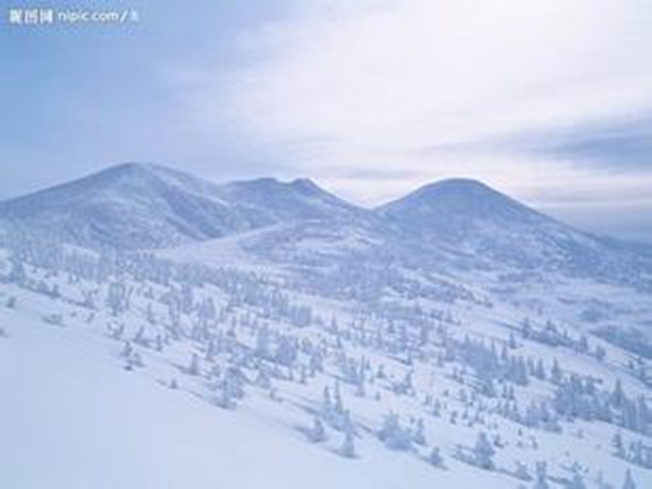 白宗萍课件雪地里的小画家.ppt_第3页