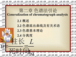 色谱分析法基础.ppt