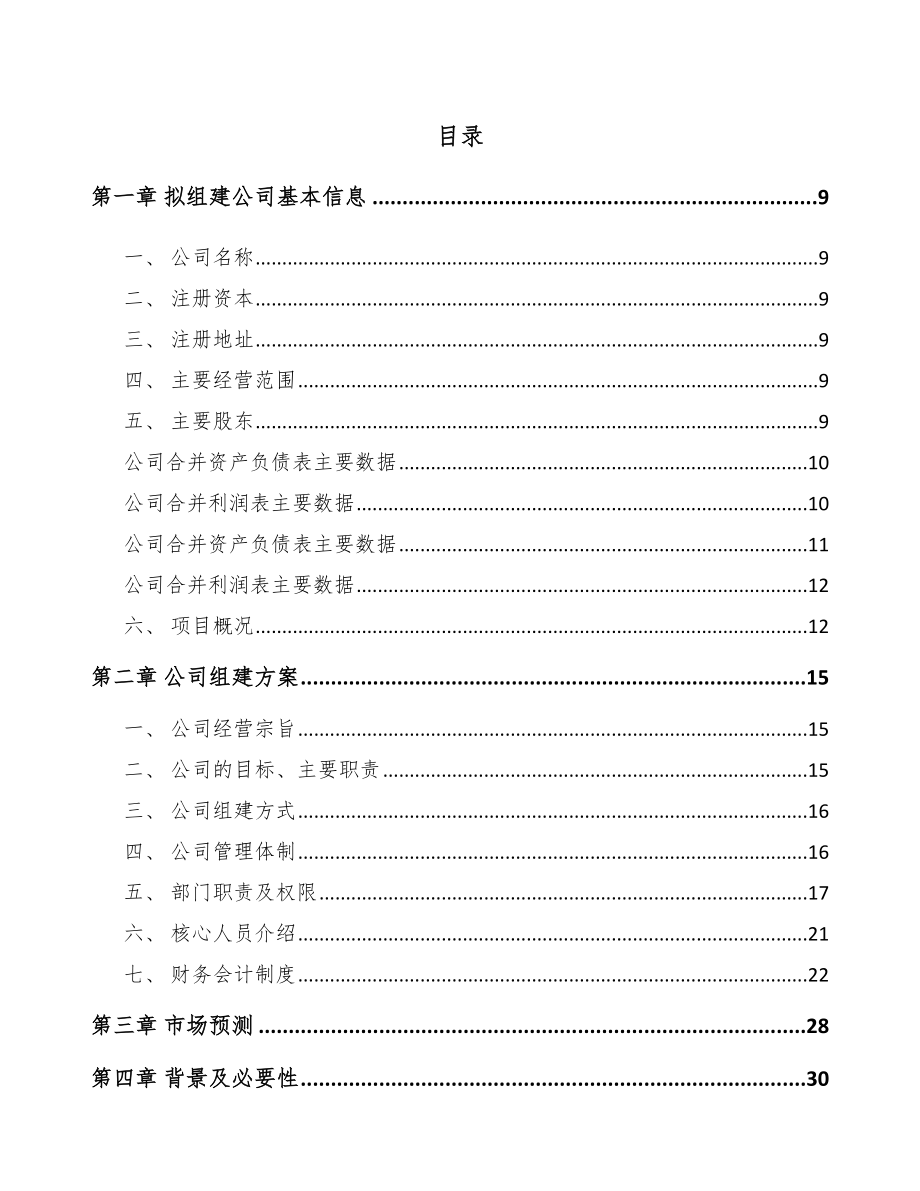 关于成立单晶硅片公司可行性研究报告模板参考.docx_第2页