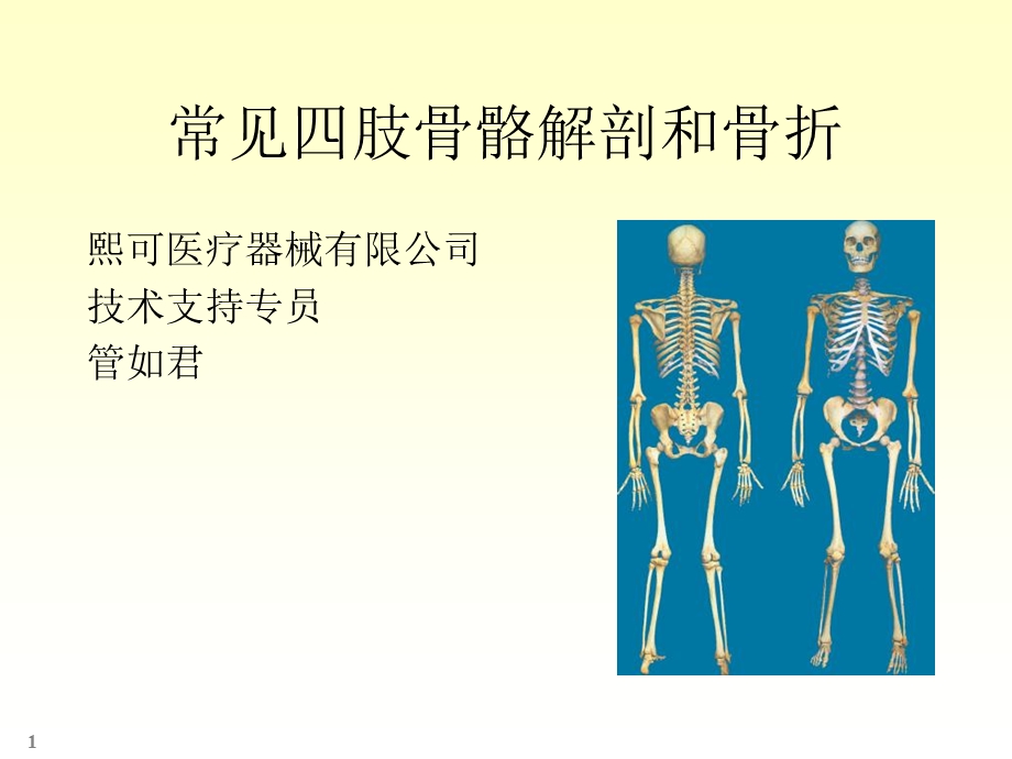 肢骨骼解剖和骨折.ppt_第1页