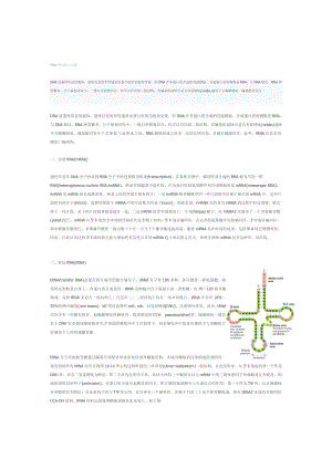 RNA的结构和功能.doc
