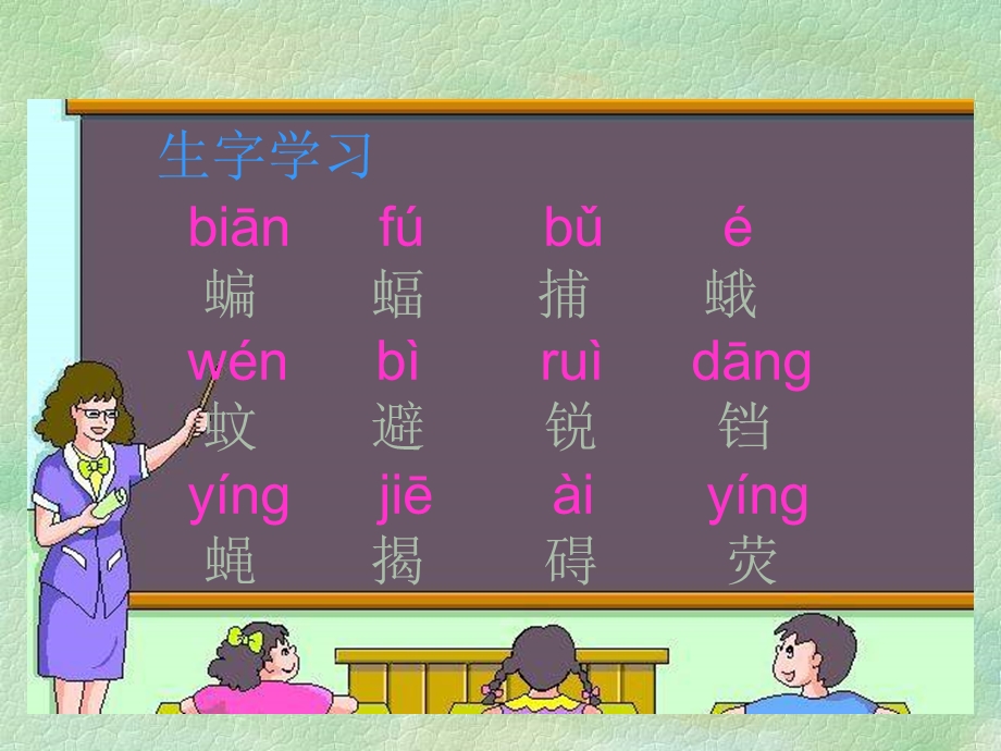 蝙蝠和雷达(完美版课件).ppt_第1页