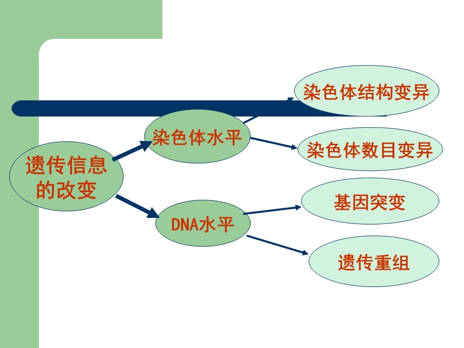 遗传信息的改变改.ppt_第3页