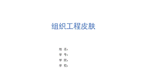 组织工程皮肤ppt.ppt