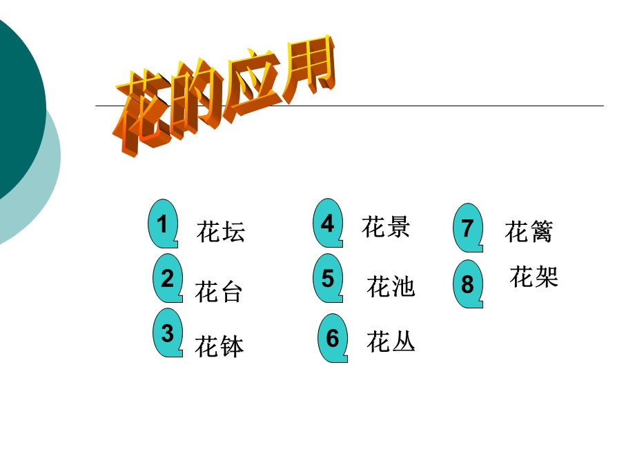 植物的生殖器官.ppt_第2页