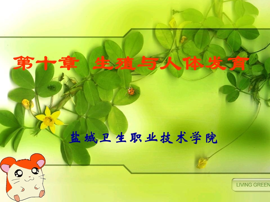 生殖与人体发育.ppt_第1页