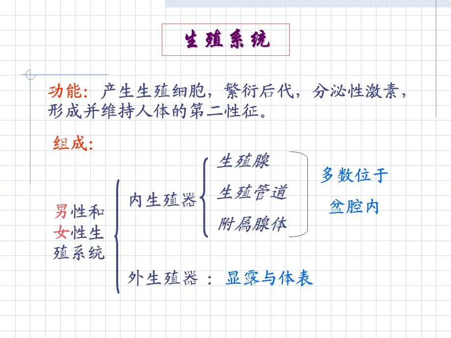 生殖与人体发育.ppt_第2页