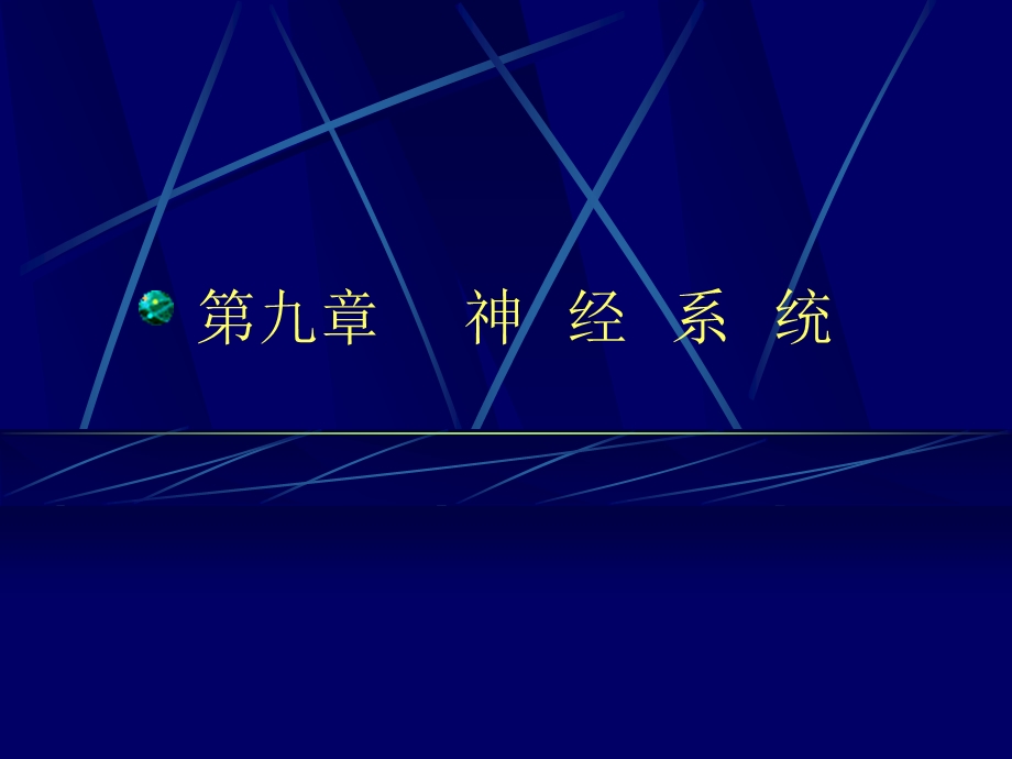 九章节神经系统.ppt_第1页