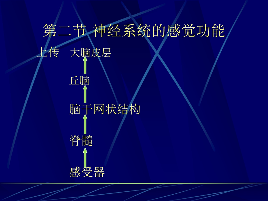 九章节神经系统.ppt_第2页