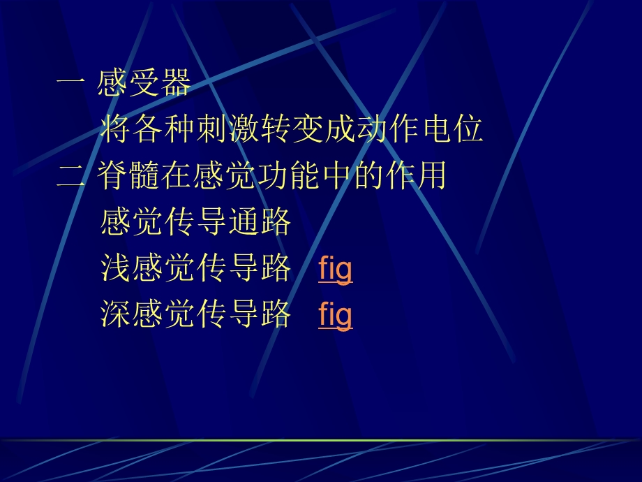 九章节神经系统.ppt_第3页