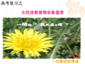 诗歌鉴赏景物形象(课堂).ppt