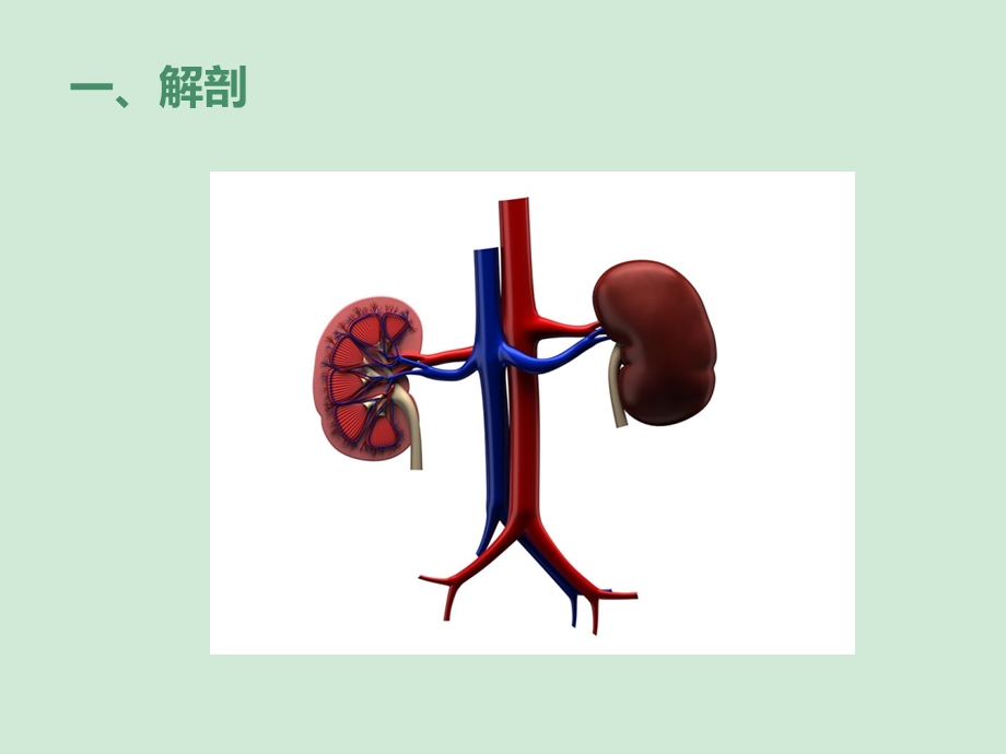 肾结石超声诊断及鉴别.ppt_第3页