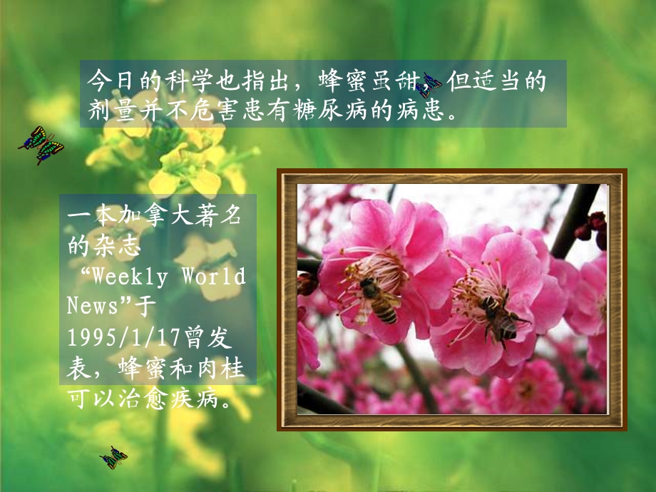 蜂蜜和肉桂的神奇疗效.ppt_第3页