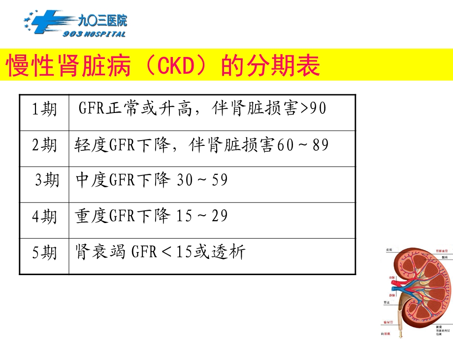 慢性肾脏病的管理.ppt_第3页