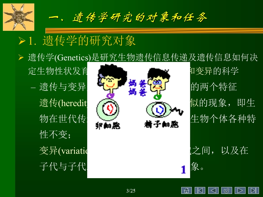 遗传学第一章绪论.ppt_第3页