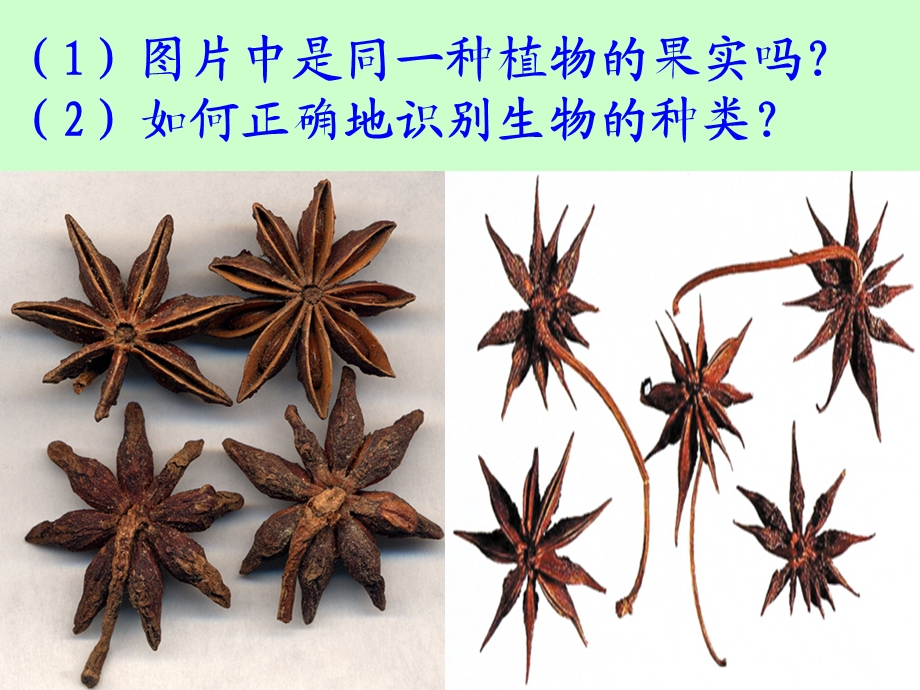 第六单元第一章第一节(一).ppt_第2页