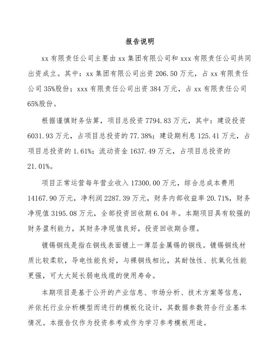 关于成立镀锡铜线公司可行性研究报告.docx_第2页