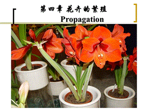 第四花卉的繁殖Propagation.ppt