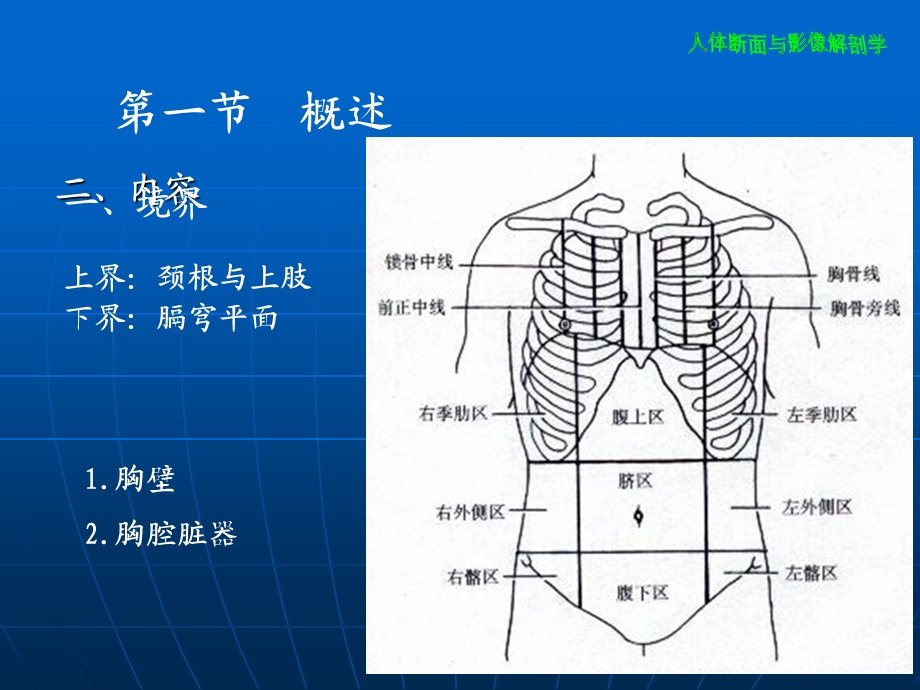 胸部断层影像解剖学.ppt_第3页