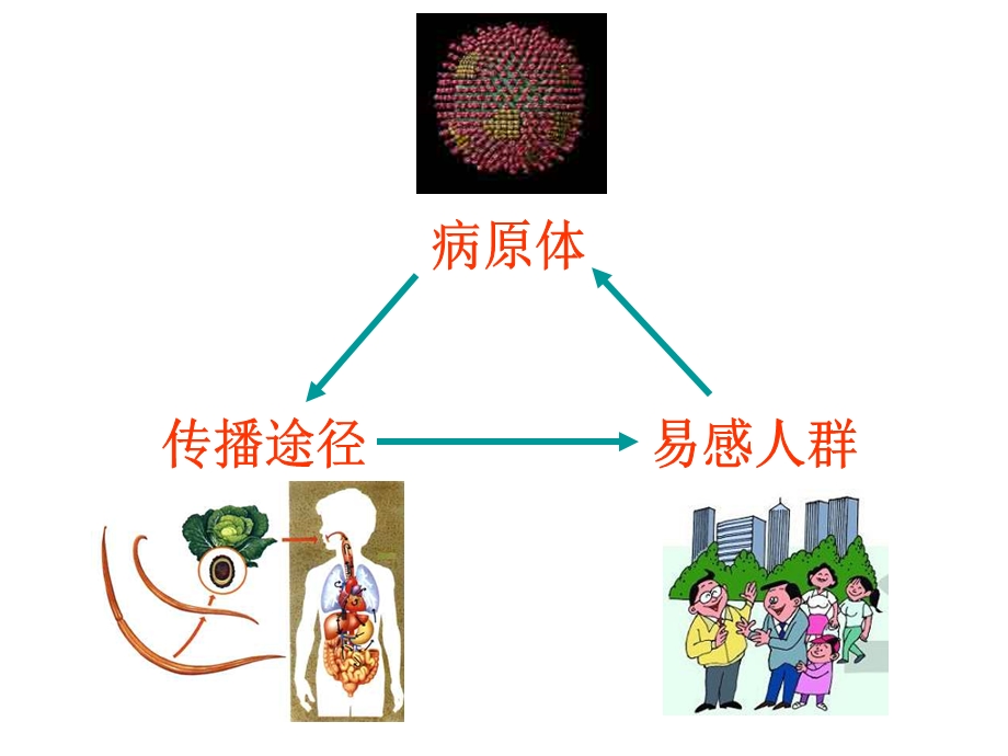 高区一中谭翠芳.ppt_第3页