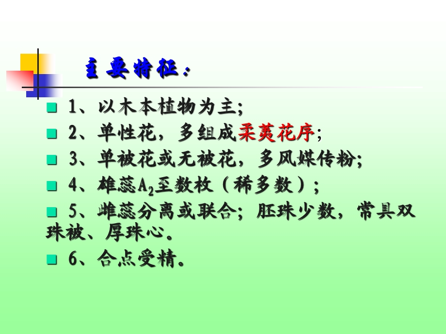 金缕梅亚纲Hamamelidae.ppt_第2页