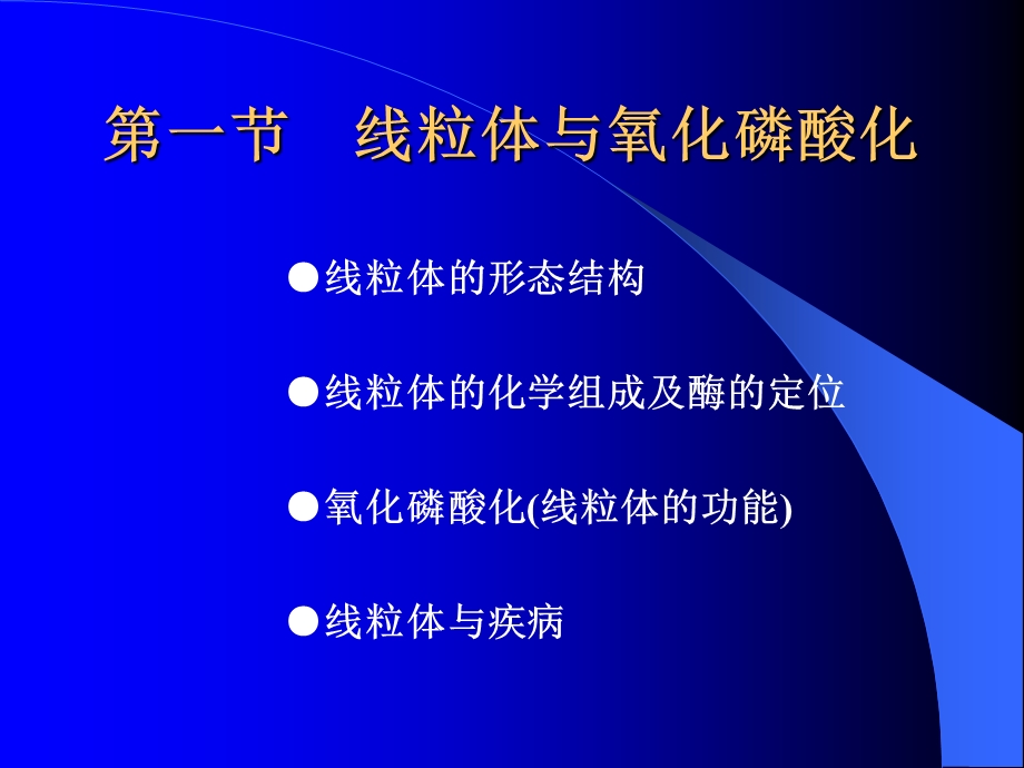 细胞的能量转换-线粒体和叶绿体.ppt_第2页