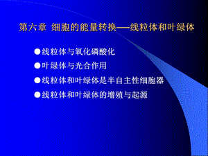 细胞的能量转换-线粒体和叶绿体.ppt