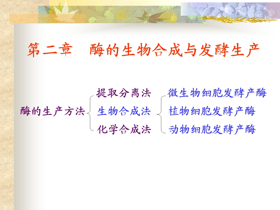 酶的生物合成法生产.ppt_第1页