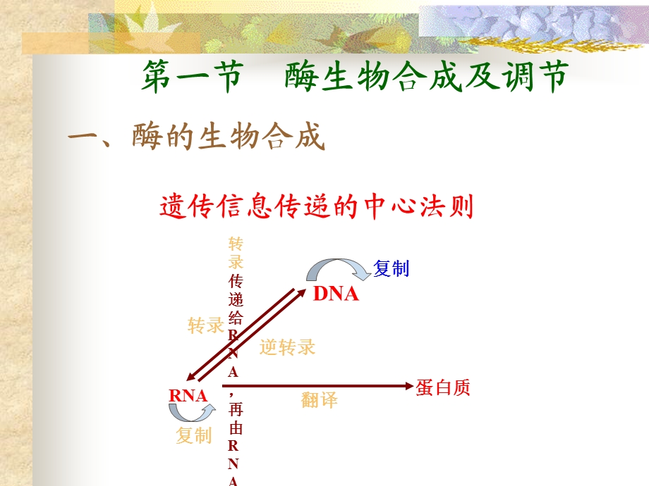 酶的生物合成法生产.ppt_第2页