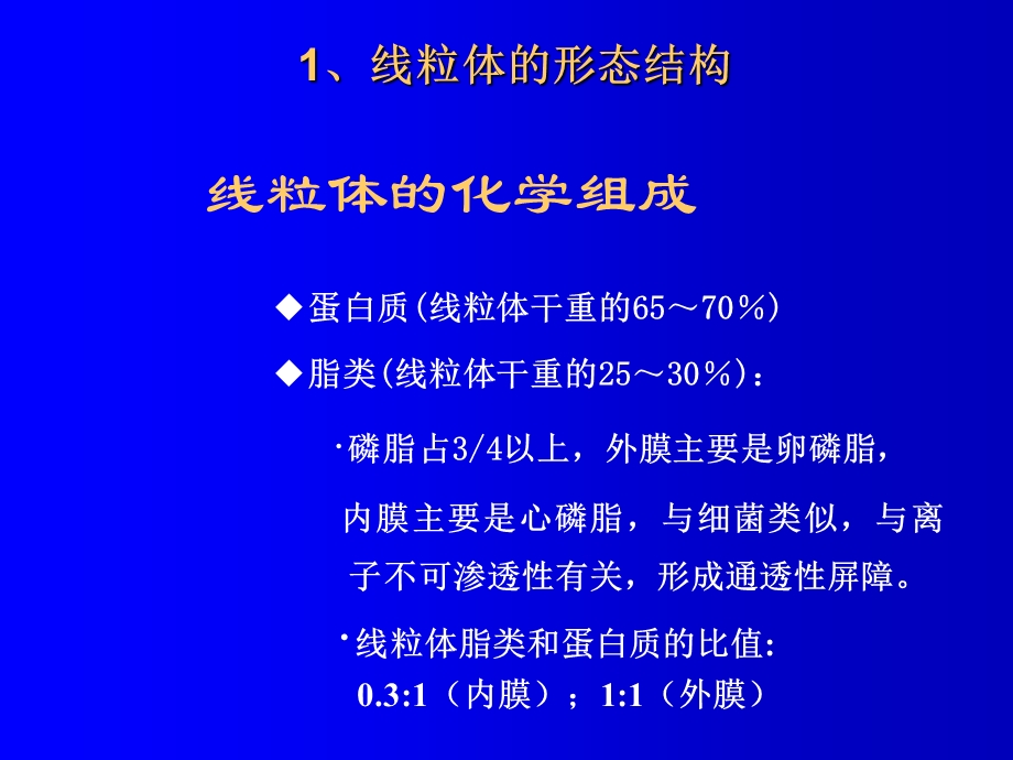 5叶绿体和线粒体.ppt_第3页