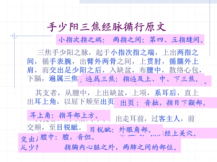 三焦经ppt课件.ppt_第2页