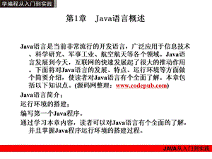 Java从入门到实践.ppt