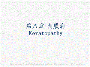 八章角膜病Keratopathy.ppt