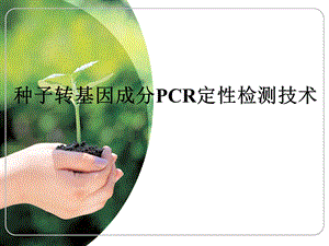 转基因成分PCR定性检测技术.ppt