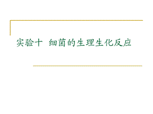 细菌的生理生化反应.ppt