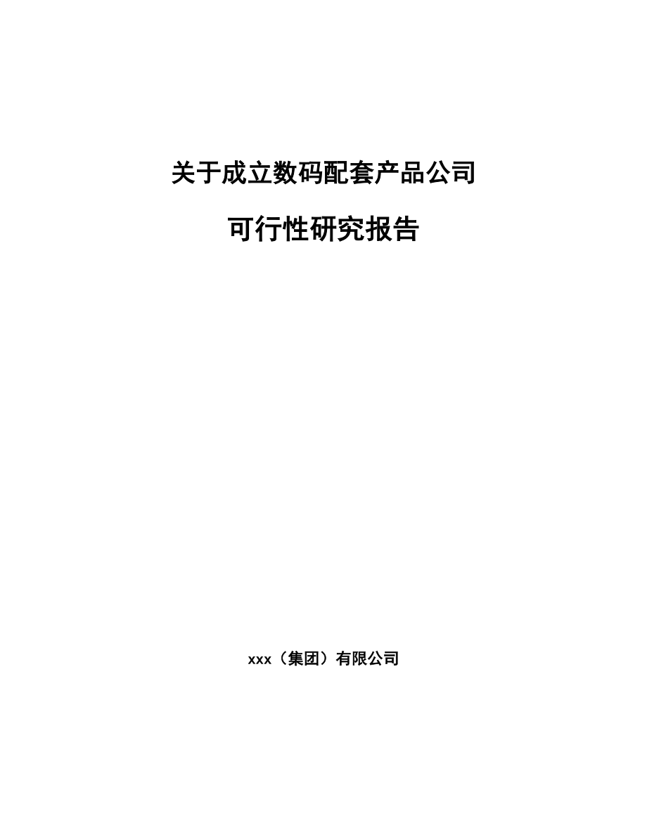 关于成立数码配套产品公司可行性研究报告.docx_第1页