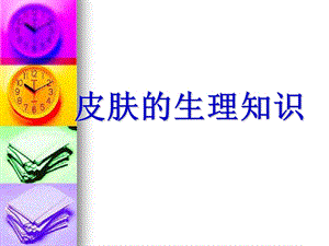 皮肤的生理知识.ppt