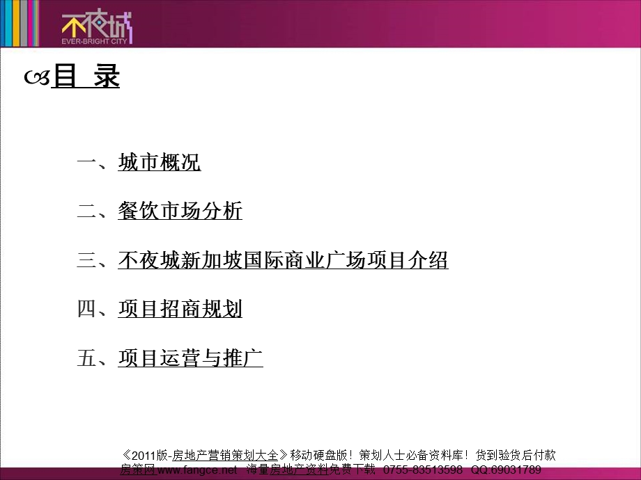 吉林四平不夜城项目招商推介可行性分析报告45页.ppt_第2页