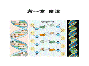 绪论分子生物学(林学专业).ppt