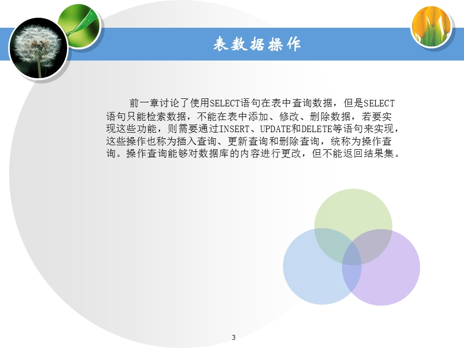 第八部分表数据操作.ppt_第3页