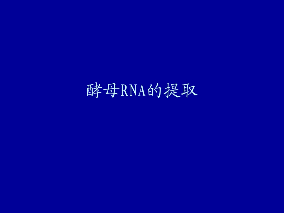 酵母RNA的提取.ppt_第1页