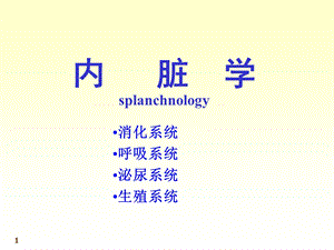 4内脏学总论消化系统1.ppt