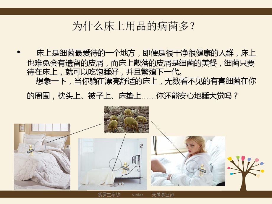 病菌的危害.ppt_第3页