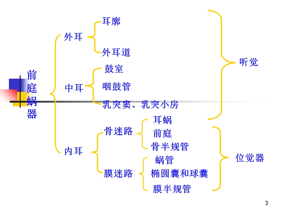 前庭蜗器解剖知识.ppt_第3页