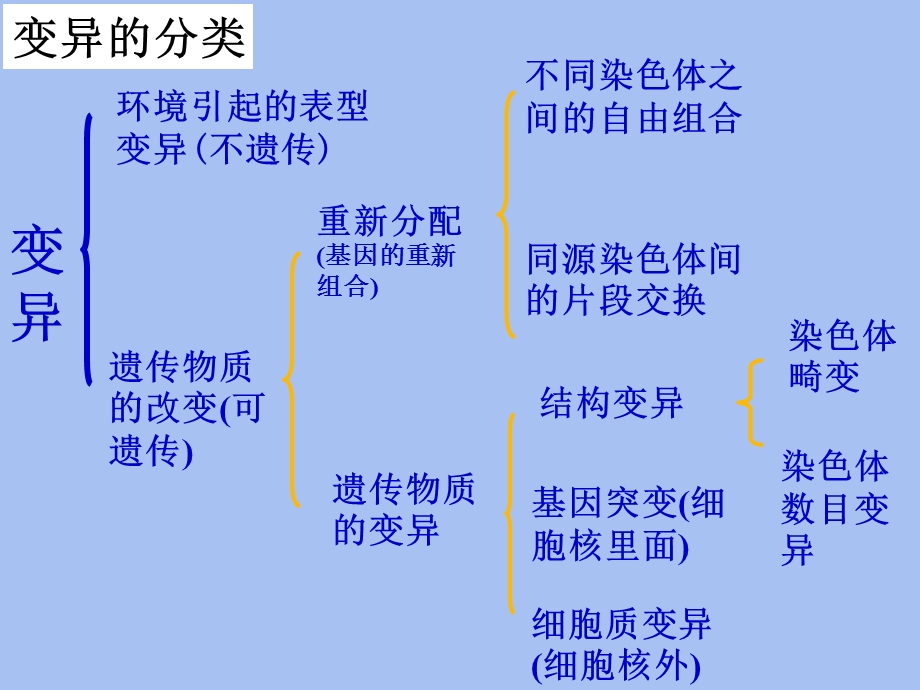 染色体结构变异.ppt_第2页