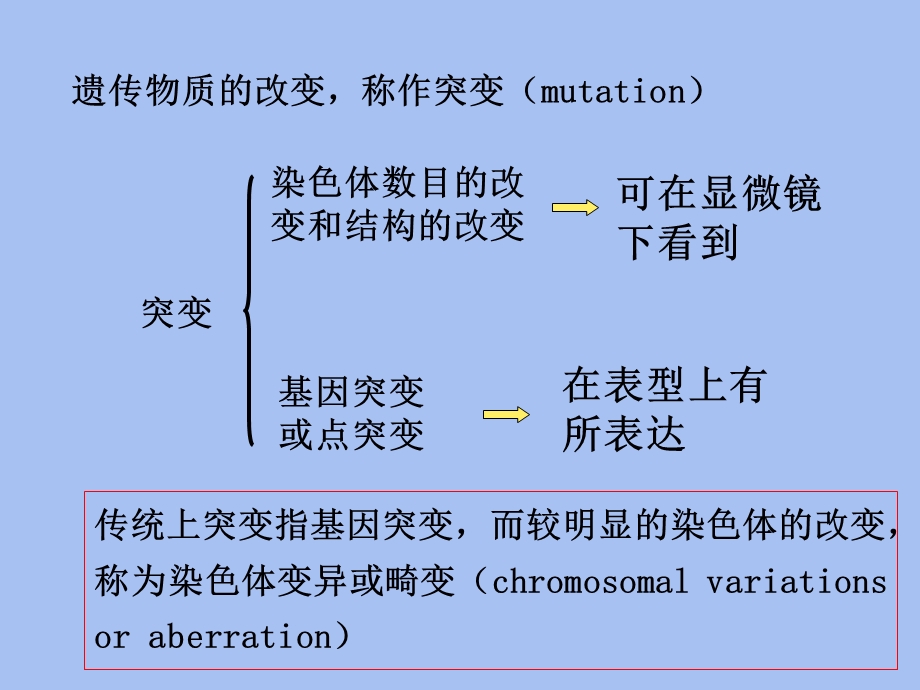 染色体结构变异.ppt_第3页