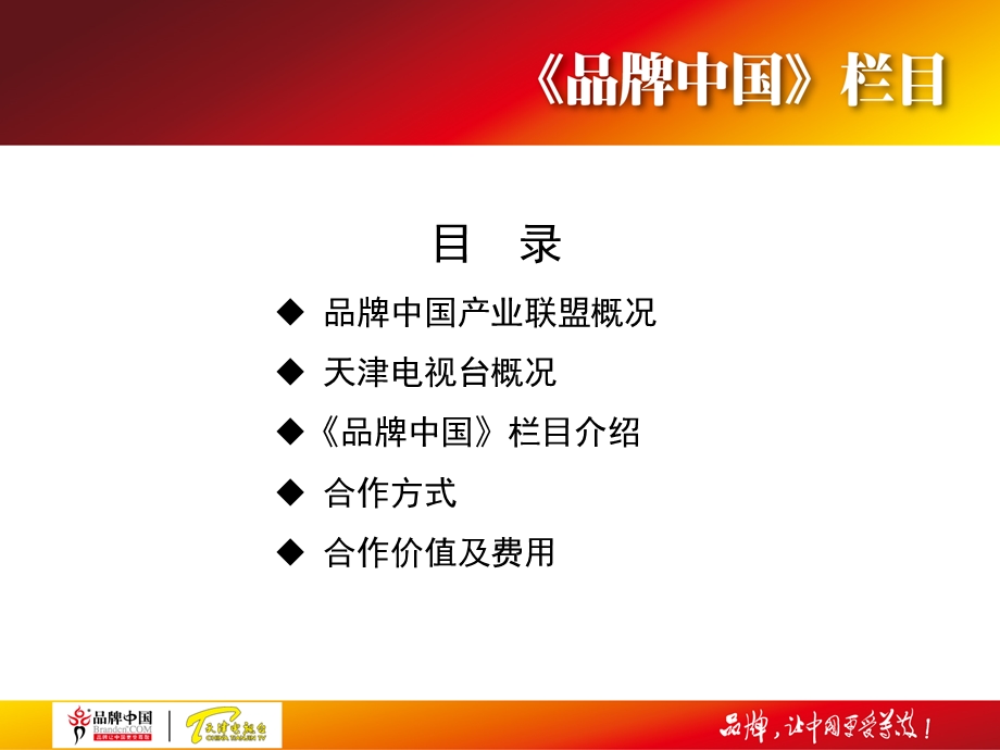 天津电视台品牌中国栏目(版).ppt_第2页