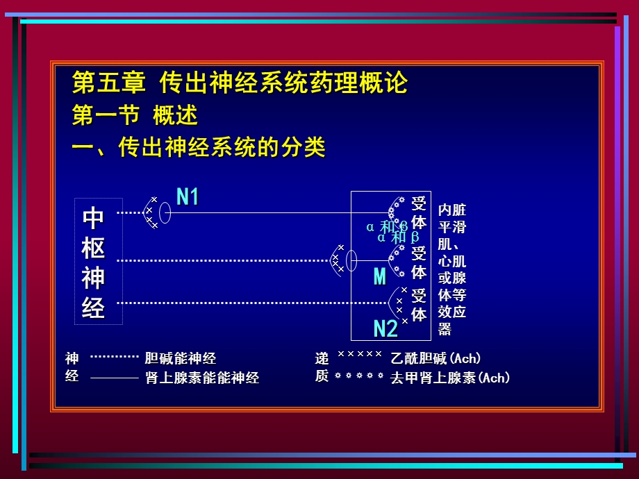 药理学课件传出神经系统.ppt_第3页