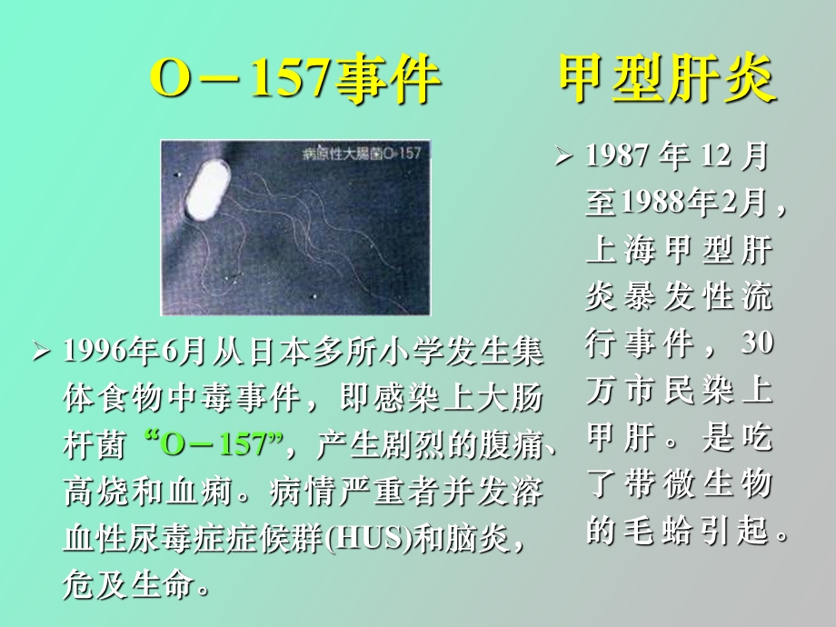 生物安全与生物入侵.ppt_第3页