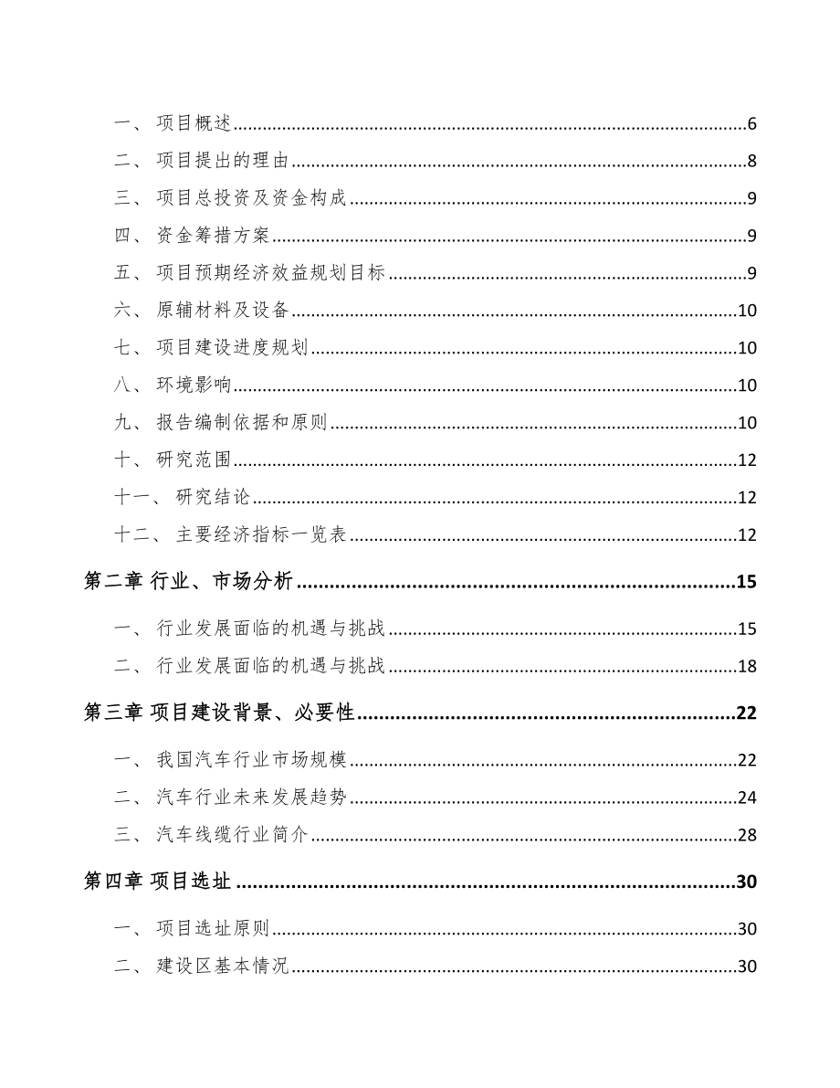 兰州汽车线缆项目可行性研究报告.docx_第2页